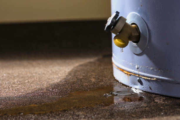 Best Mold removal after water damage  in Marina Del Rey, CA