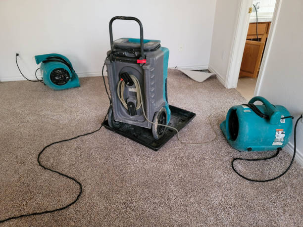  Marina Del Rey, CA Water damage restoration Pros