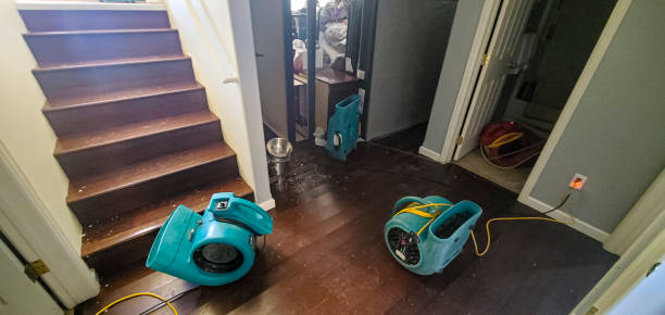 Best Residential water damage restoration  in Marina Del Rey, CA