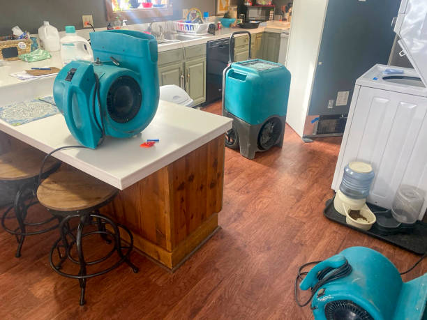Best Water damage restoration near me  in Marina Del Rey, CA