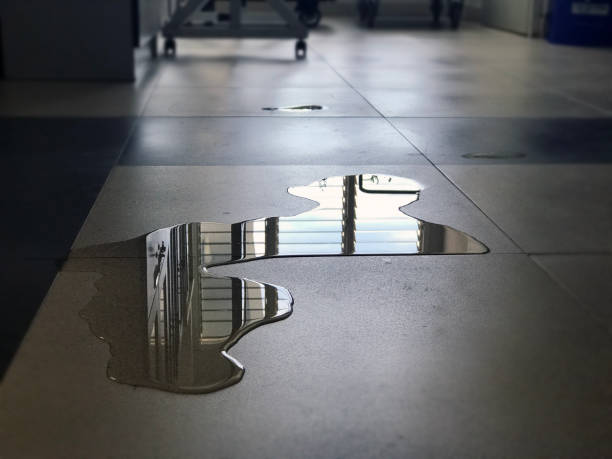 Best Water damage contractors near me  in Marina Del Rey, CA