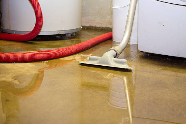 Best Water damage cleanup near me  in Marina Del Rey, CA