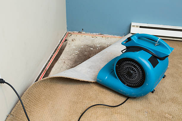 Best Commercial water damage restoration  in Marina Del Rey, CA